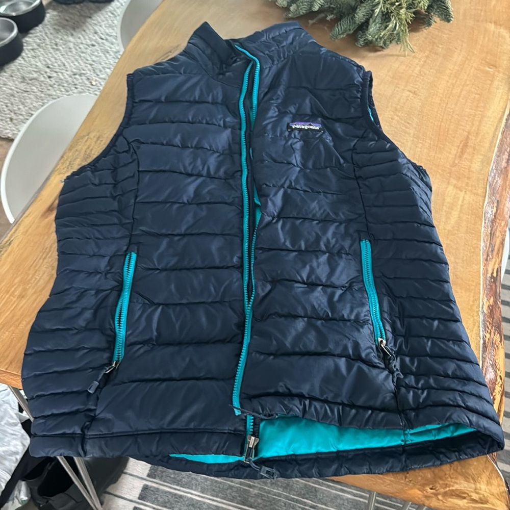 COPY - Patagonia vest
